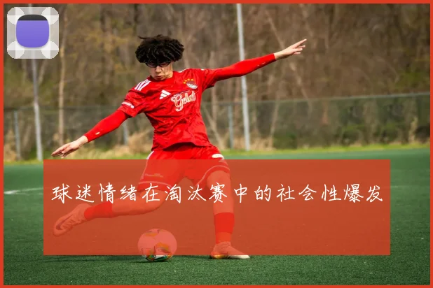 球迷情绪在淘汰赛中的社会性爆发
