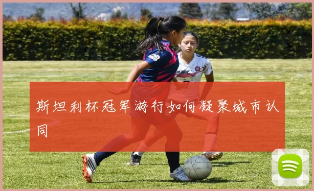 斯坦利杯冠军游行如何凝聚城市认同