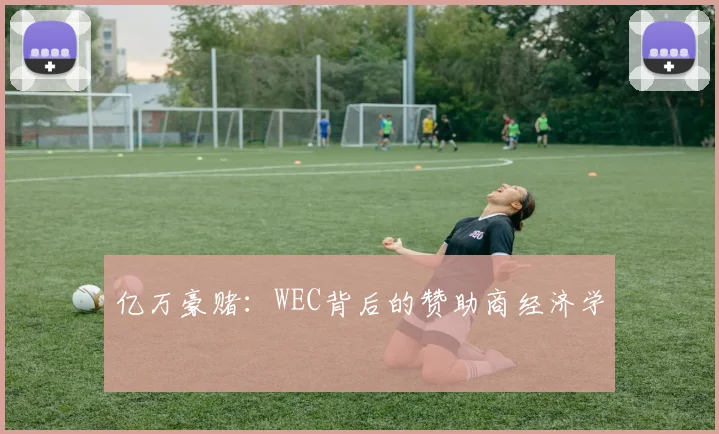 亿万豪赌：WEC背后的赞助商经济学