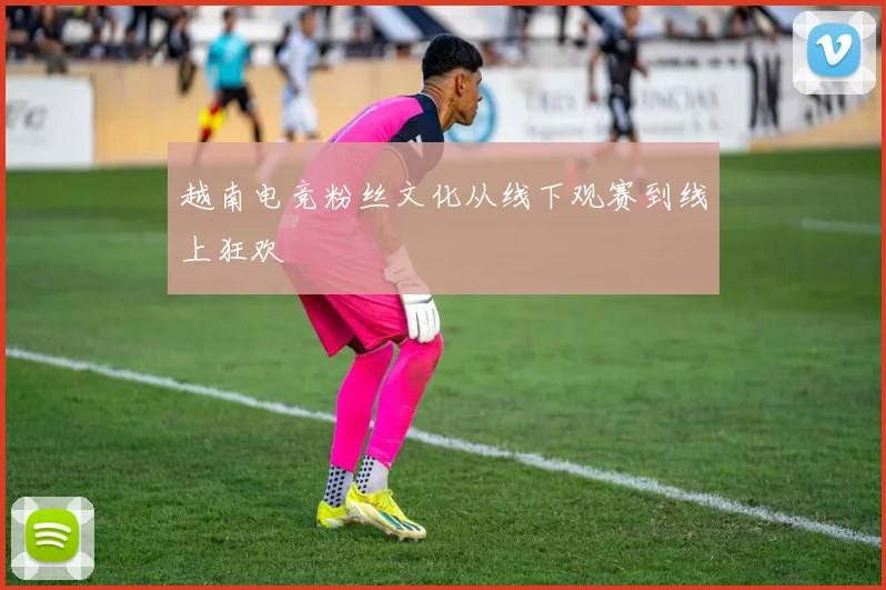 越南电竞粉丝文化从线下观赛到线上狂欢