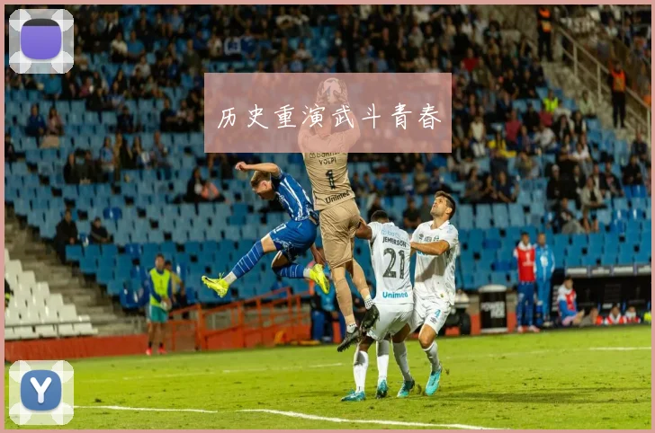 历史重演武斗青春